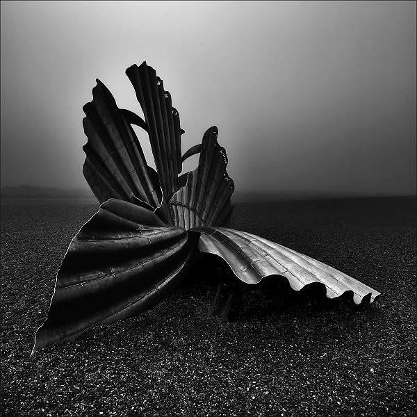 Maggi Hambling's Scallop.jpg